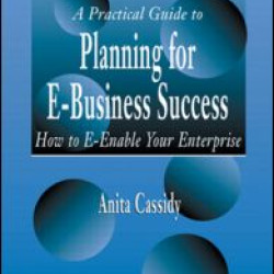 A Practical Guide to Planning for E-Business Success A Practical Guide to Planning for E-Business Success