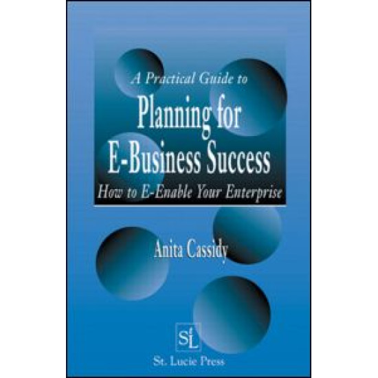 A Practical Guide to Planning for E-Business Success A Practical Guide to Planning for E-Business Success