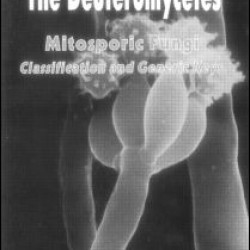 The Deuteromycetes - Mitosporic Fungi