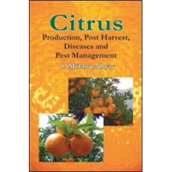 Citrus Citrus