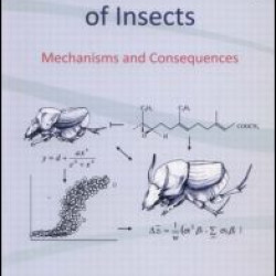 Phenotypic Plasticity of Insects