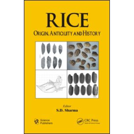 Rice Rice
