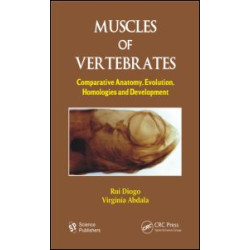 Muscles of Vertebrates Muscles of Vertebrates