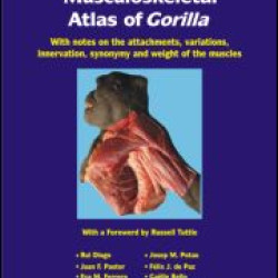 Photographic and Descriptive Musculoskeletal Atlas of Gorilla Photographic and Descriptive Musculoskeletal Atlas of Gorilla