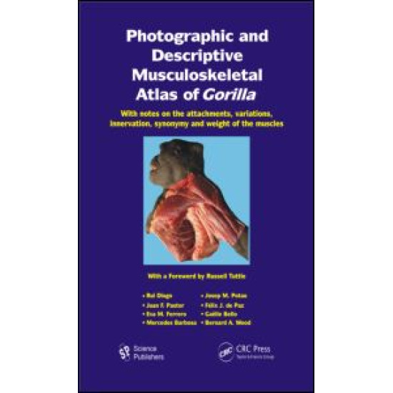 Photographic and Descriptive Musculoskeletal Atlas of Gorilla Photographic and Descriptive Musculoskeletal Atlas of Gorilla