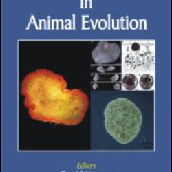 Key Transitions in Animal Evolution Key Transitions in Animal Evolution