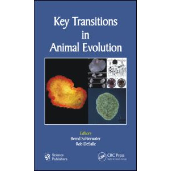 Key Transitions in Animal Evolution