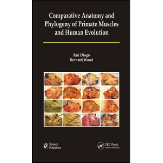 Comparative Anatomy and Phylogeny of Primate Muscles and Human Evolution Comparative Anatomy and Phylogeny of Primate Muscles and Human Evolution