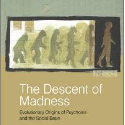 The Descent of Madness