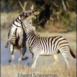 C++ for Mathematicians C++ for Mathematicians