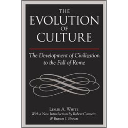The Evolution of Culture
