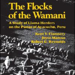 The Flocks of the Wamani