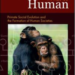 How Culture Makes Us Human