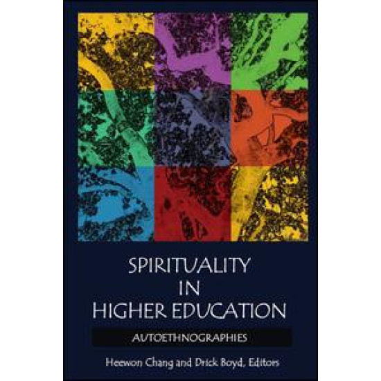 Spirituality in Higher Education