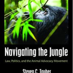 Navigating the Jungle