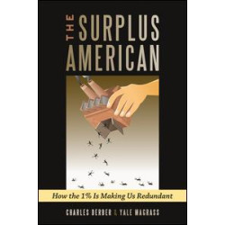 Surplus American Surplus American
