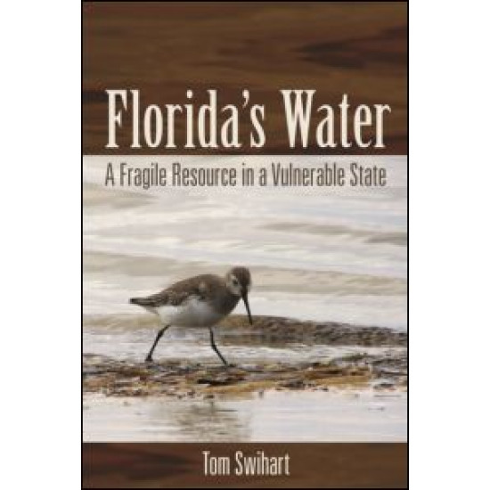 Florida's Water