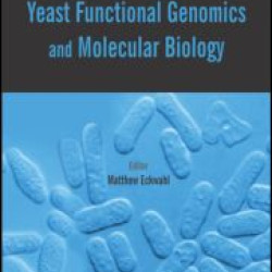 Investigations in Yeast Functional Genomics and Molecular Biology