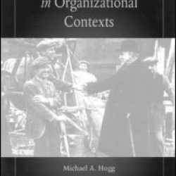 Social Identity Processes in Organizational Contexts