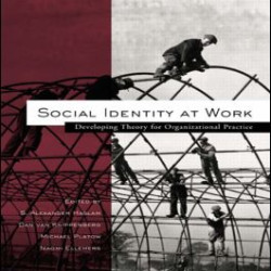 Social Identity at Work