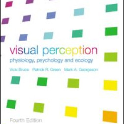 Visual Perception Visual Perception