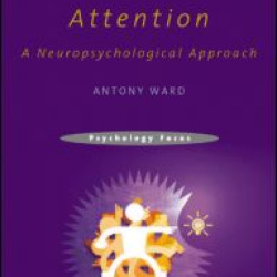 Attention Attention