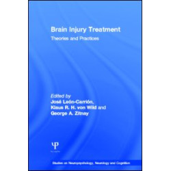 Brain Injury Treatment Brain Injury Treatment