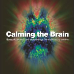 Calming the Brain
