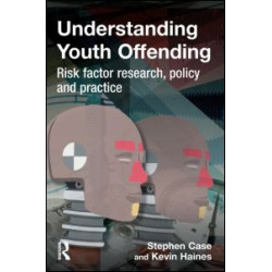 Understanding Youth Offending