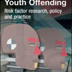 Understanding Youth Offending