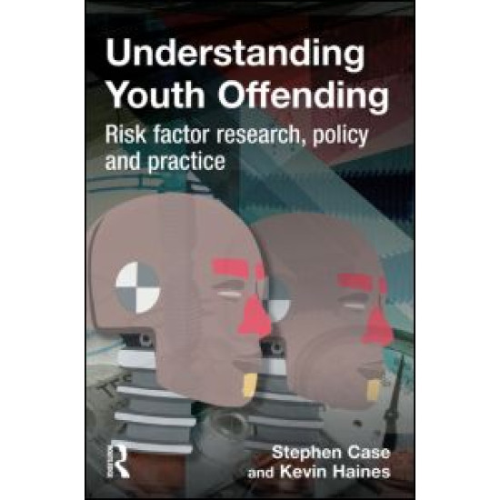 Understanding Youth Offending Understanding Youth Offending