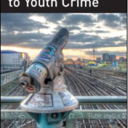 A New Response to Youth Crime