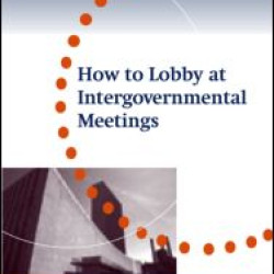 How to Lobby at Intergovernmental Meetings How to Lobby at Intergovernmental Meetings