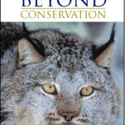 Beyond Conservation Beyond Conservation