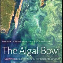 The Algal Bowl