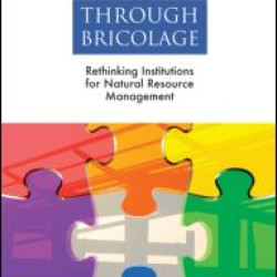 Development Through Bricolage Development Through Bricolage