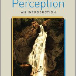 Visual Perception Visual Perception