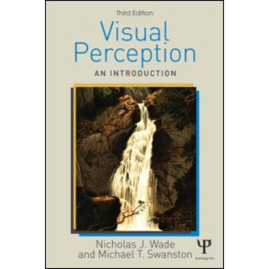 Visual Perception