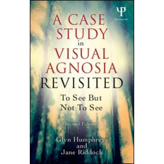 A Case Study in Visual Agnosia Revisited