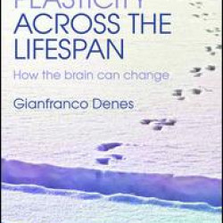 Neural Plasticity Across the Lifespan