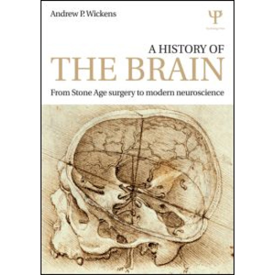 A History of the Brain A History of the Brain