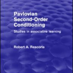 Pavlovian Second-order Conditioning