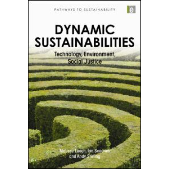 Dynamic Sustainabilities