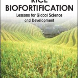 Rice Biofortification Rice Biofortification