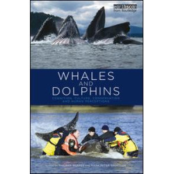 Whales and Dolphins Whales and Dolphins