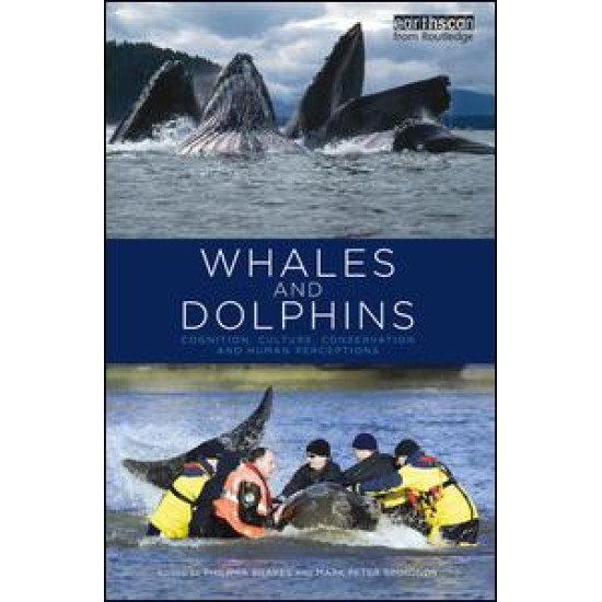 Whales and Dolphins