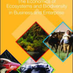 The Economics of Ecosystems and Biodiversity in Business and Enterprise The Economics of Ecosystems and Biodiversity in Business and Enterprise