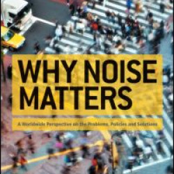 Why Noise Matters