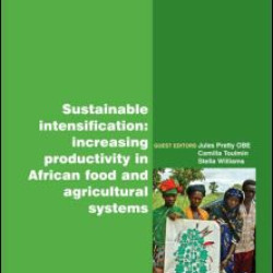 Sustainable Intensification Sustainable Intensification