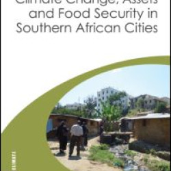 Climate Change, Assets and Food Security in Southern African Cities